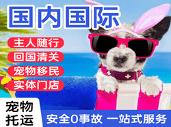 齐齐哈尔三家子机场快运国际宠物托运 【国